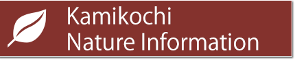 Kamikochi Nature Information