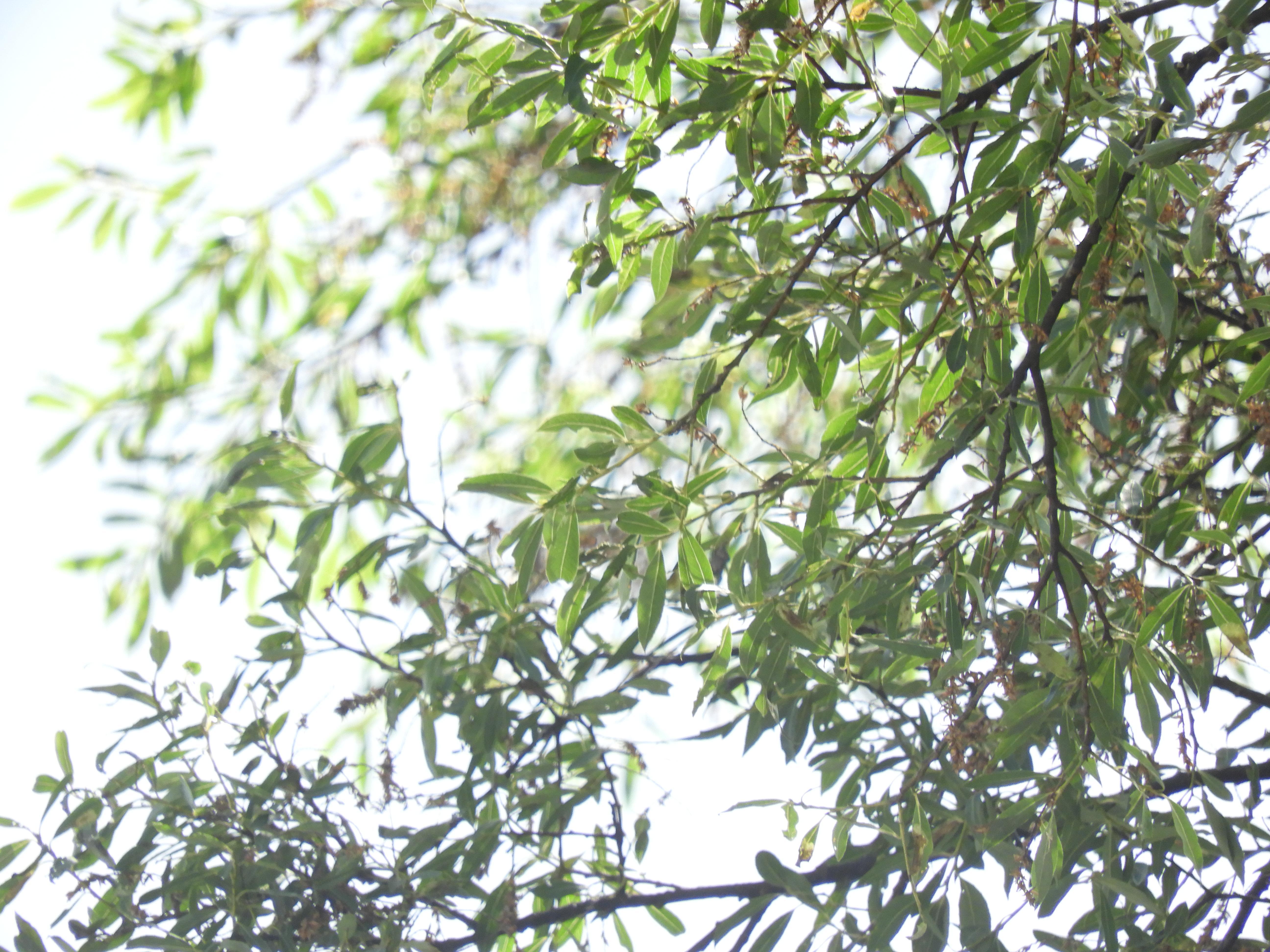 新着情報 新着情報