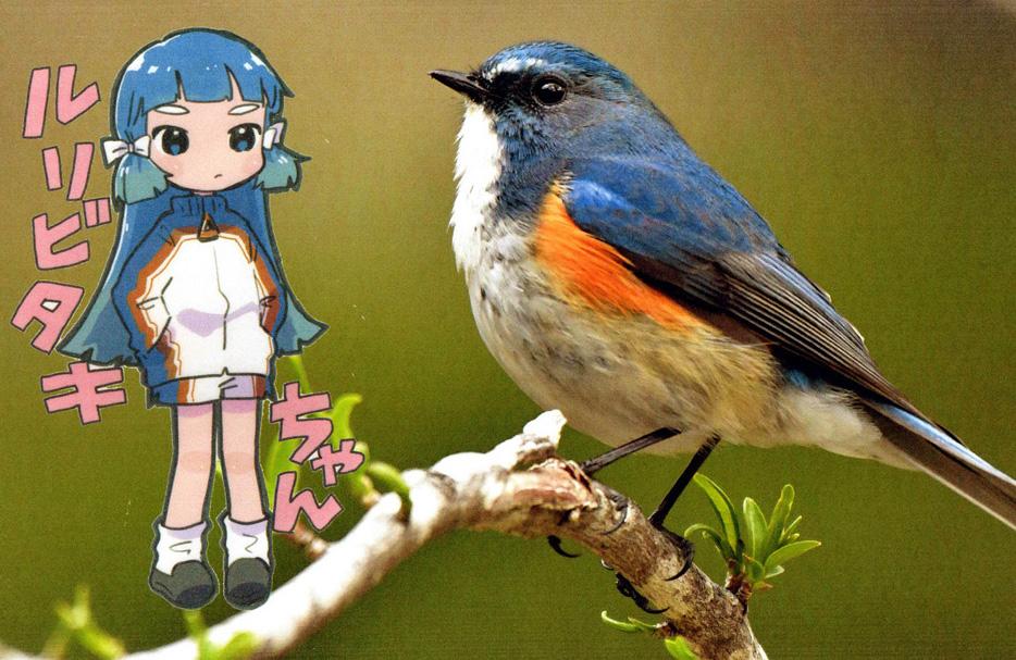 新着情報［新着情報］