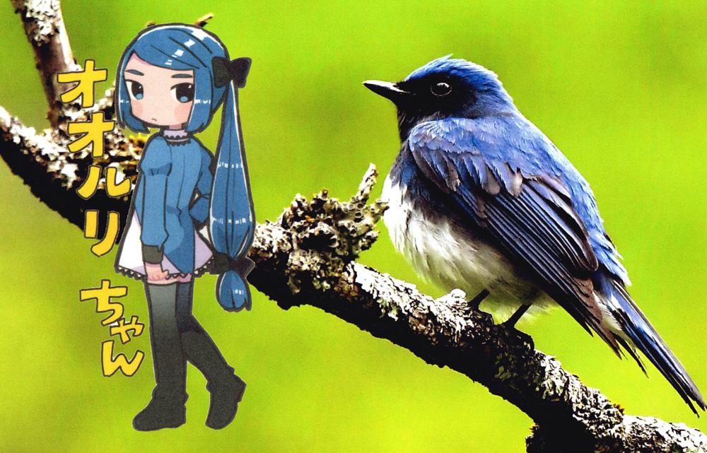 新着情報［新着情報］