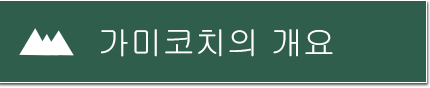 가미코치의 개요