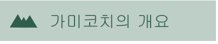 가미코치의 개요