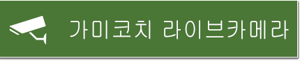 가미코치 라이브카메라