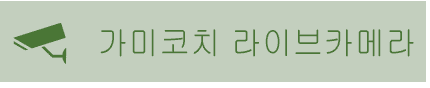 가미코치 라이브카메라