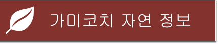 가미코치 자연 정보