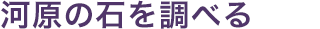 河原の石を調べる