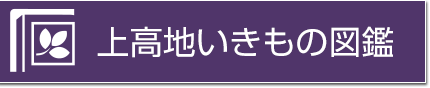 上高地いきもの図鑑